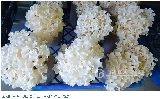 미래자원영농조합법인 이미지