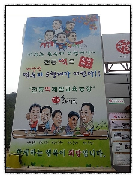 법인솔티 이미지