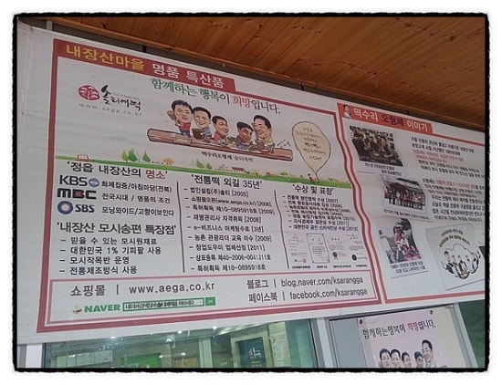 법인솔티 이미지