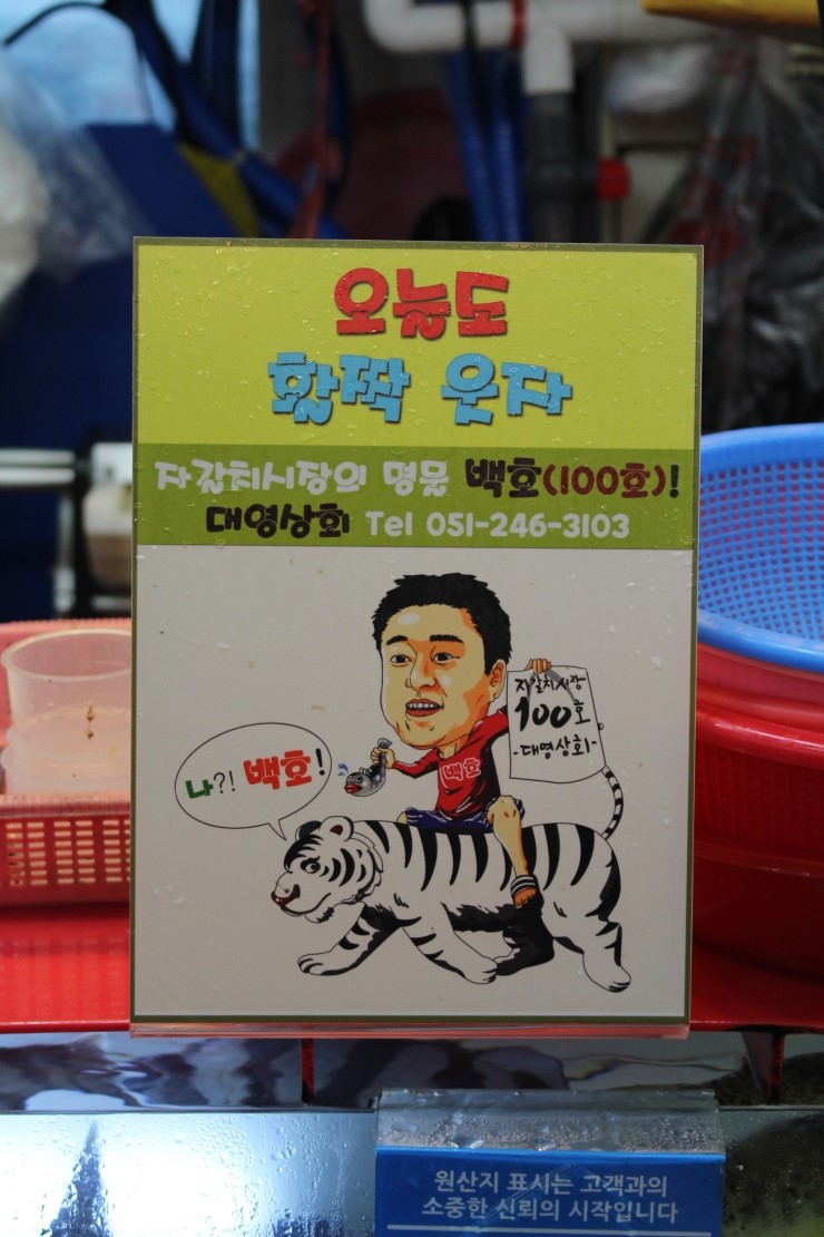 자갈치회센타 이미지