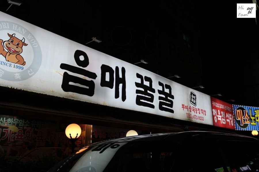 음매꿀꿀 이미지