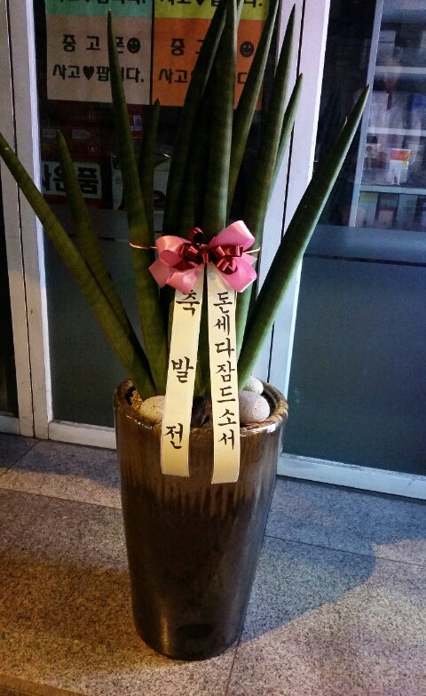 반석플라워 이미지
