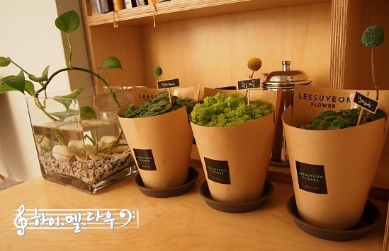 카페 히어(CAFE HERE) 이미지