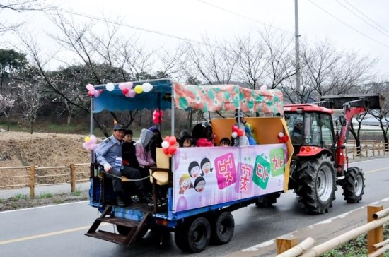 벚꽃한우 이미지