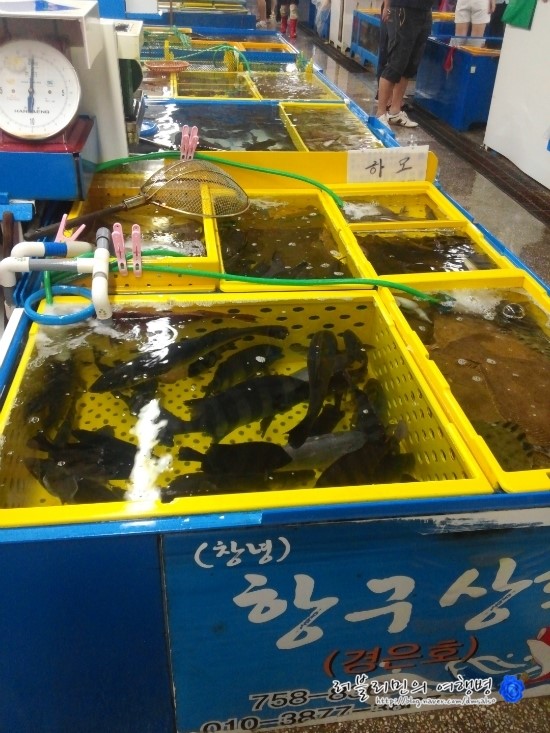 항구상회 이미지