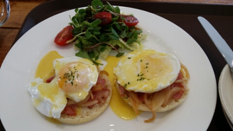 카페마노아(CAFE MANOAH) 이미지