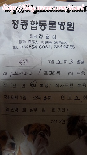 정종합 이미지