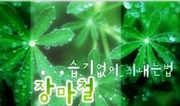 동남빨래나라 이미지