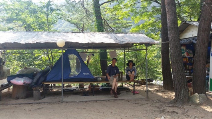 수봉야영장 이미지