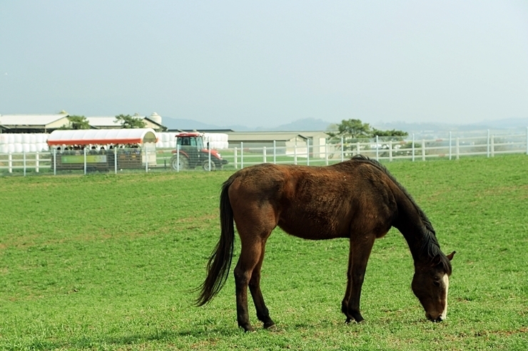 초원농축산 이미지