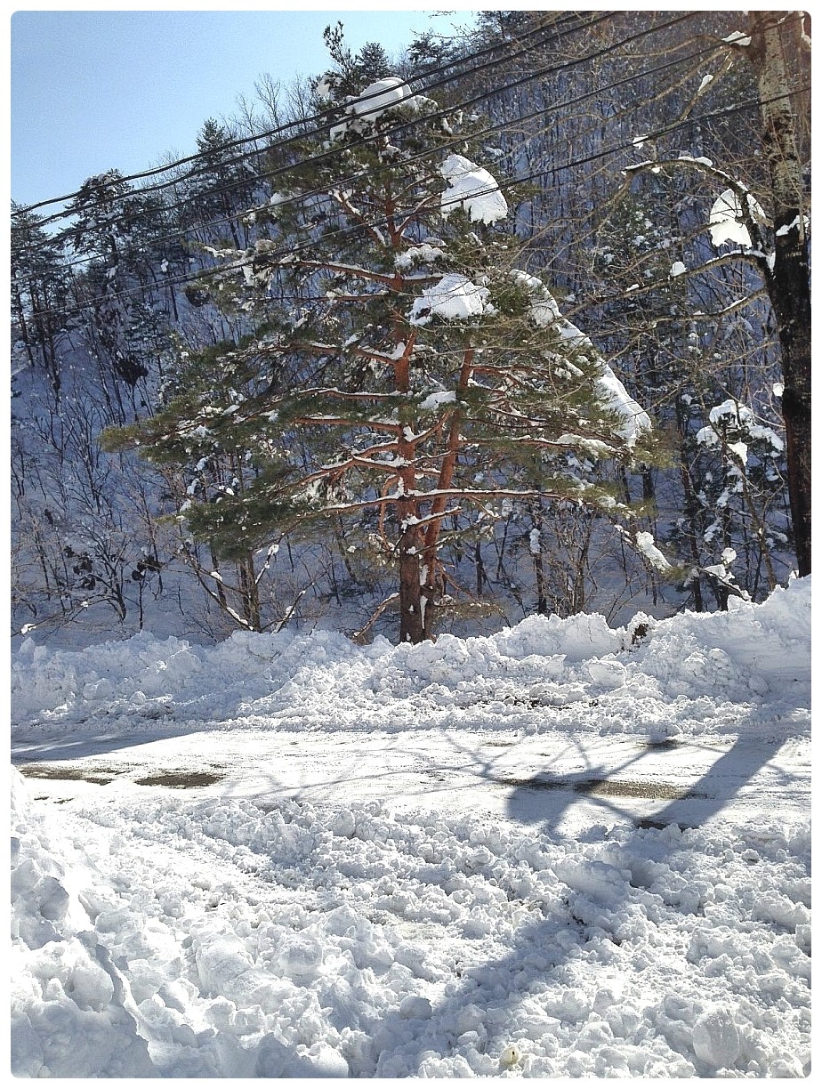 법수산장 이미지