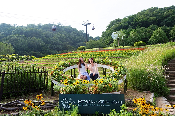 주식회사 바라 이미지