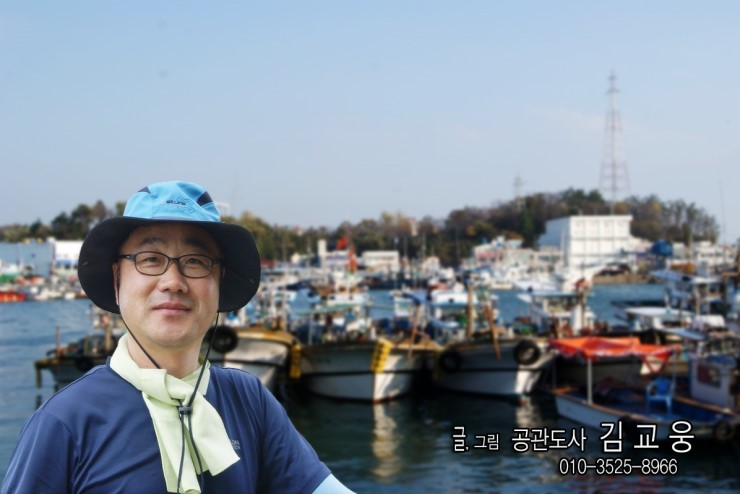 섬바우 이미지