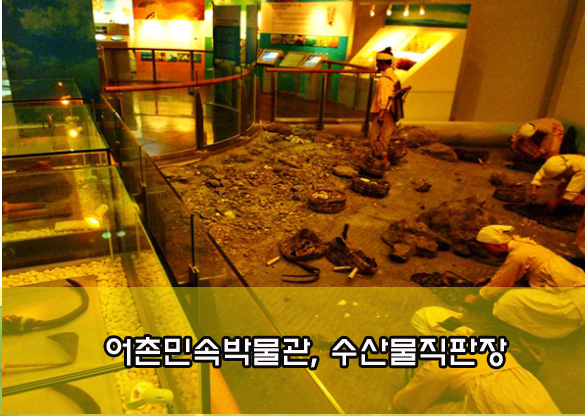 탄도수산물직판장 이미지