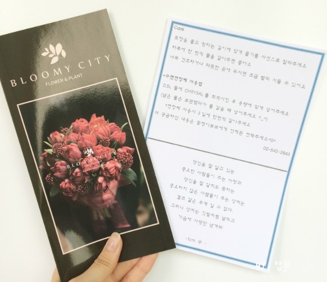 블루미시티 이미지