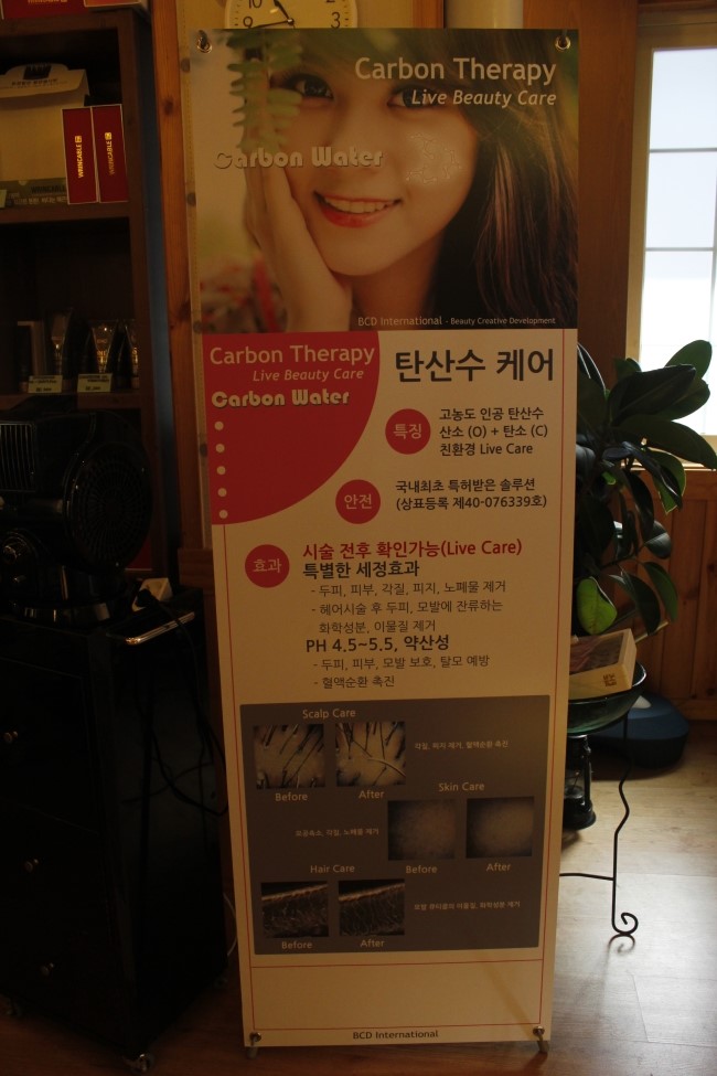 천연머리염색 이미지