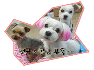 토마스튜디오 이미지
