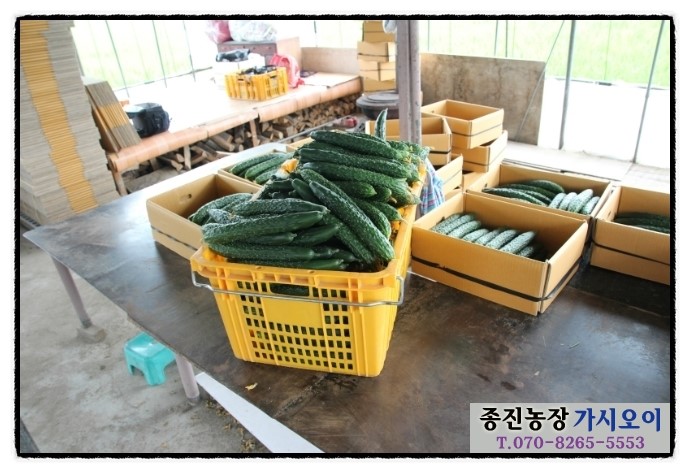 두가시 농장 이미지