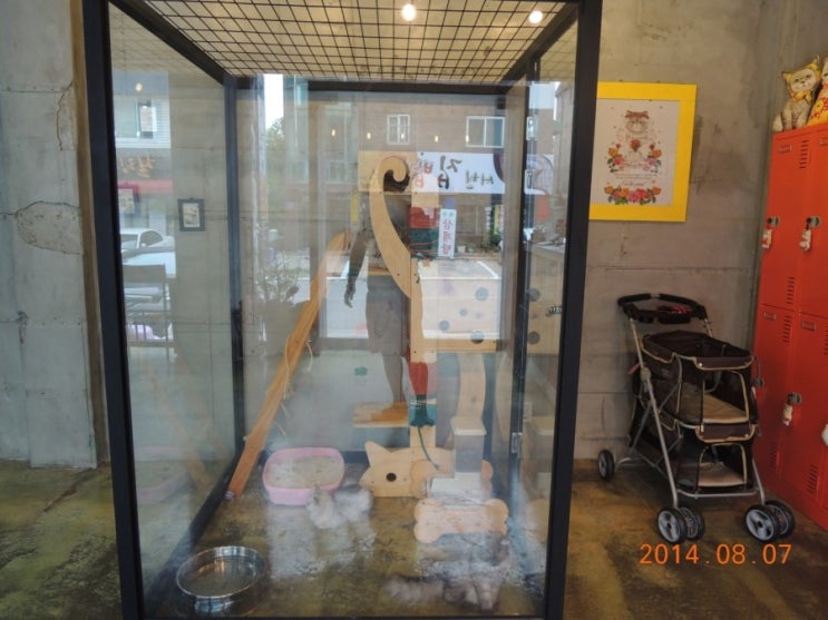캣앤뷰티 이미지