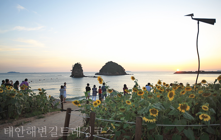 파인웰스 이미지