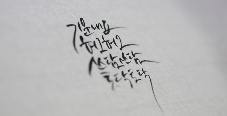 캘리송 이미지
