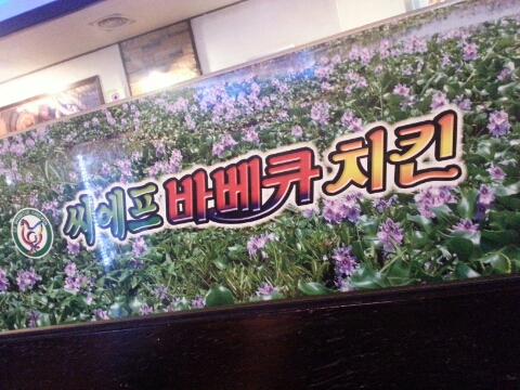 씨에프스타일 이미지