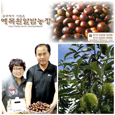 영양금바다농장 이미지