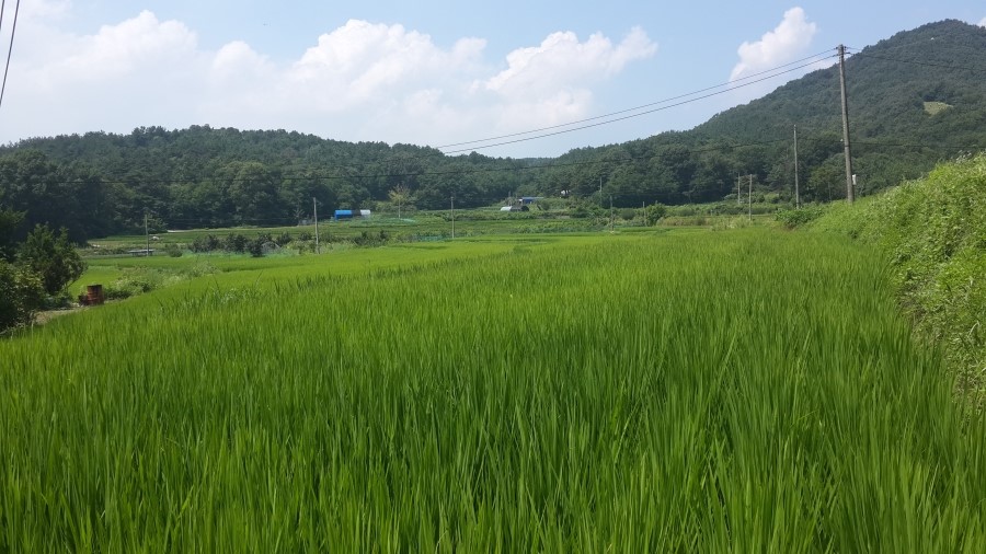 사회복지법인 사랑의집 이미지