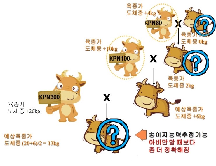 유전시스템 이미지