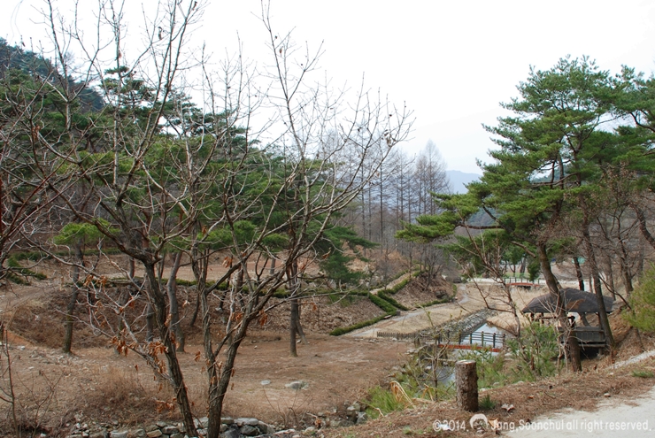 박달재자연휴양림야영장 이미지