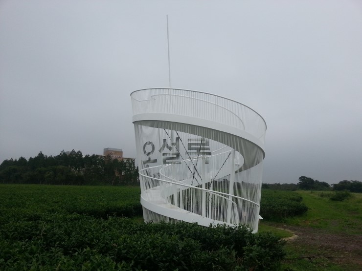 제주오설록티뮤지엄 이미지