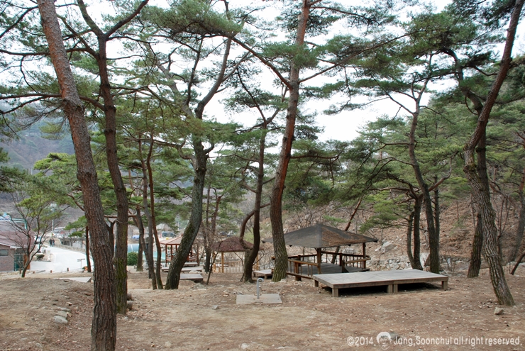 박달재자연휴양림야영장 이미지