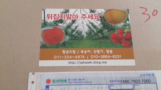 황금농원(복숭아) 이미지