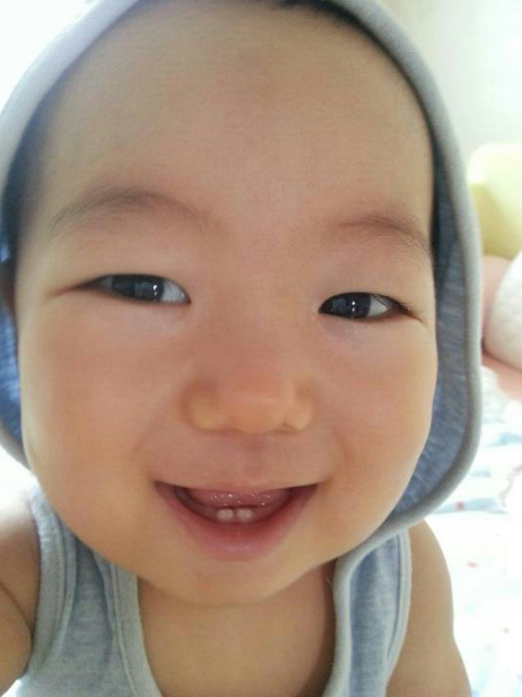 도리도리 이미지