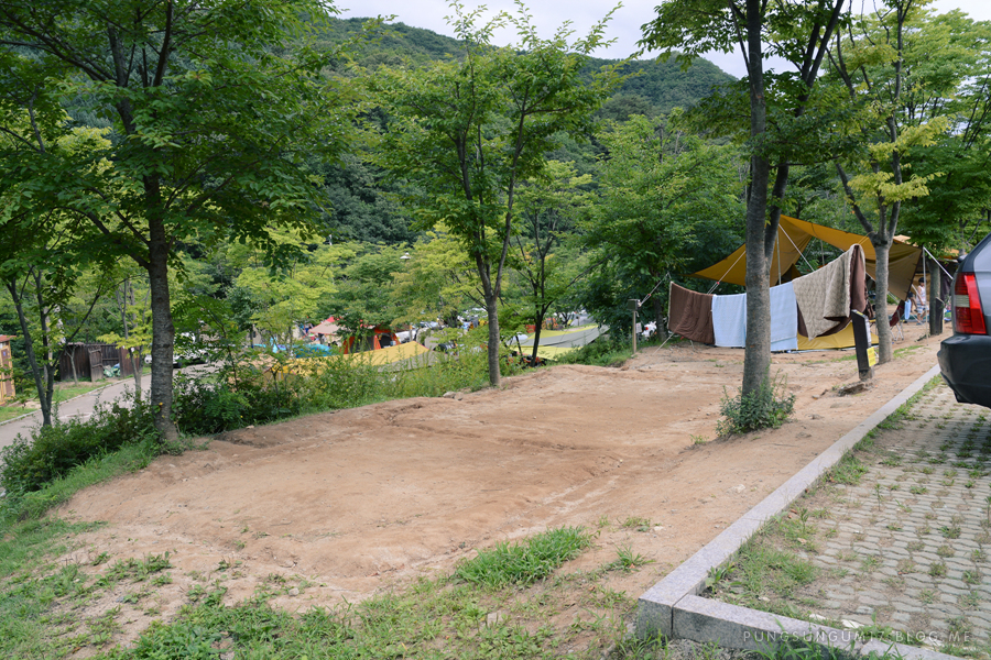 금대만 이미지