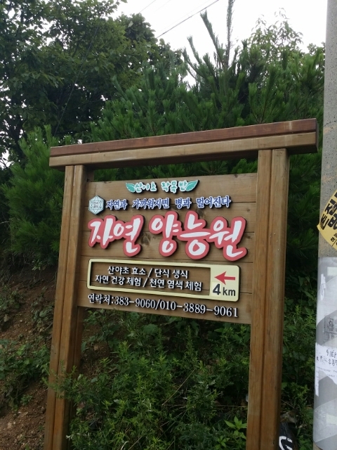 자연양능원 이미지