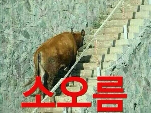 복천숯불 바베큐 이미지