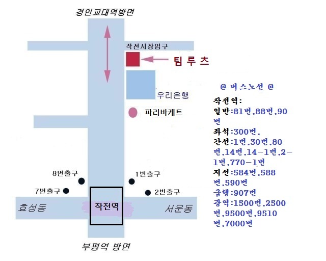 팀루츠 이미지
