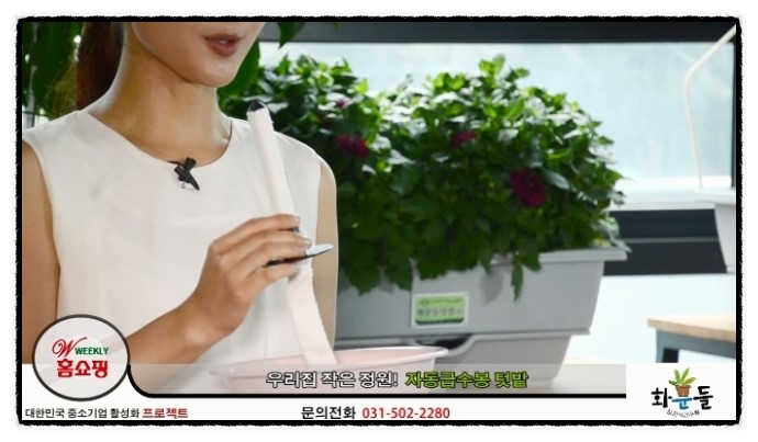 화분들닷컴 이미지