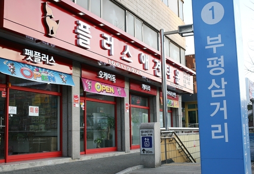 은플러스 이미지