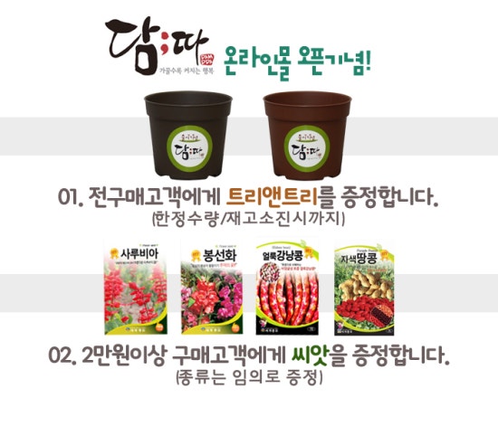 담따 이미지