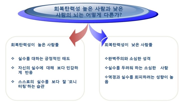 회복탄력성(Resilience) / 자기조절능력/ 대인관계능력 : 네이버 블로그