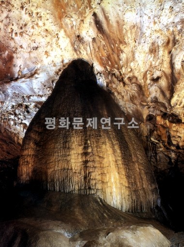 지물상 이미지