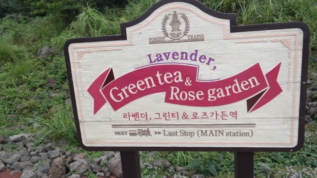 천지연랜드식당 이미지