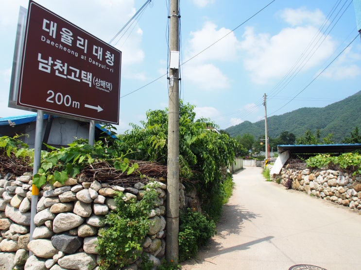 행복한밤마을운영위원회 이미지