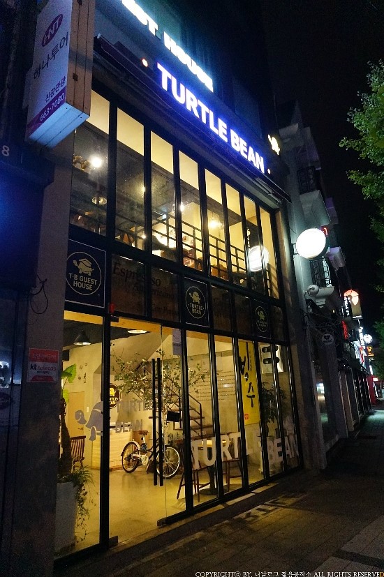 터틀빈 이미지