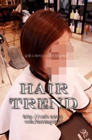컷트라인 이미지