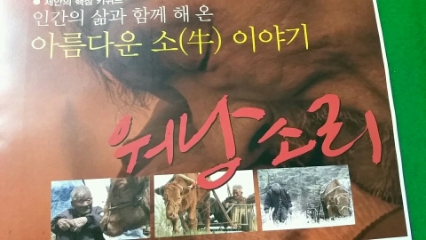 횡성오복떡집 이미지