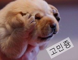 이좋은치과 이미지