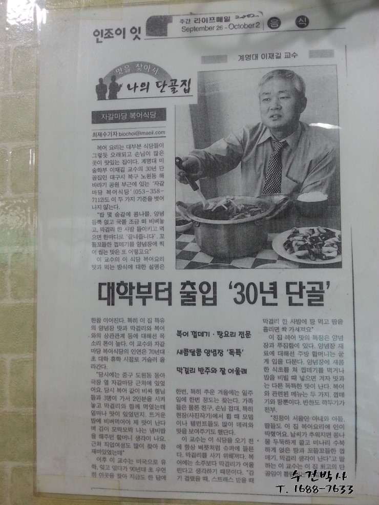 자갈복어 이미지